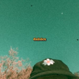 Daisies