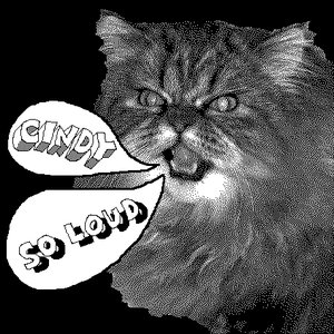 Cindy So Loud için avatar