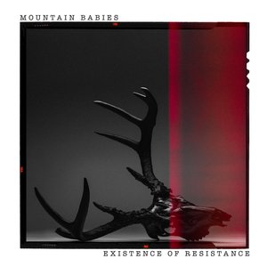 Existence of Resistance