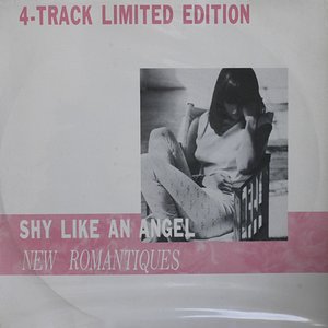 Image for 'New Romantique'