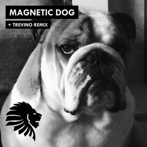 Magnetic Dog