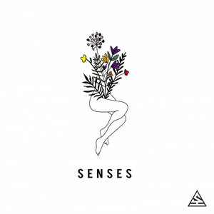 Senses