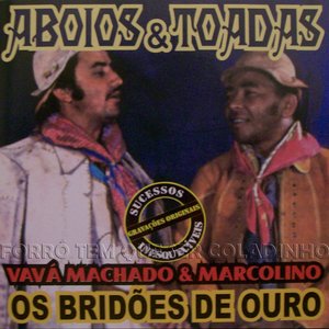 Vavá Machado & Marcolino 的头像