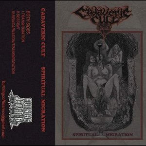 Spiritual Migration