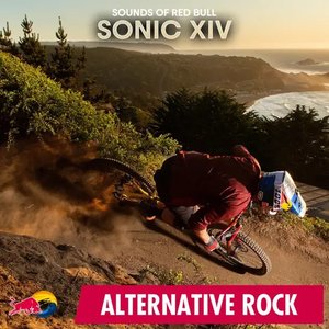 Sonic XIV