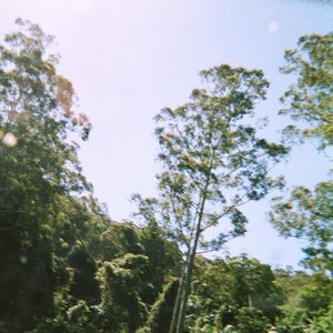 Bushranger 的头像