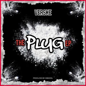 The plug