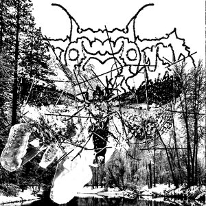Moth