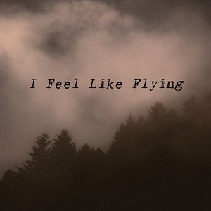 I Feel Like Flying