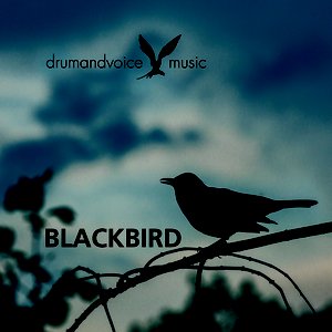 Blackbird