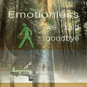 Emotionless We Said Goodbye