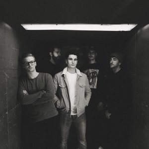 Elwood Stray のアバター