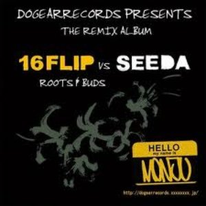16flip Vs Seeda 的头像