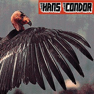 Hans Condor
