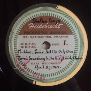 English Oaks And Evangeline