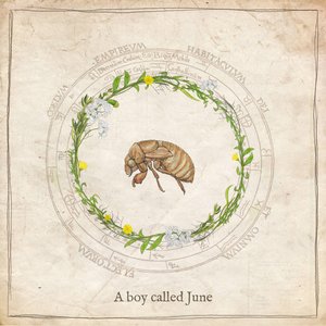A Boy Called June - Single