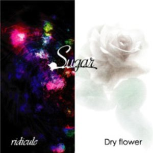 ridicule/Dry flower