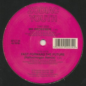 Fast Forward The Future (Hallucinogen Remix) / Mr Redeemer (Elysium Remix)