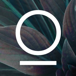 Okami (Ọ) için avatar