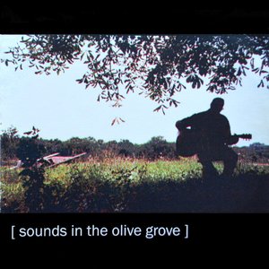 [ sounds in the olive grove ]