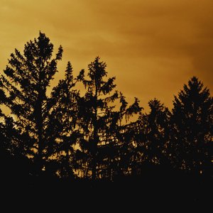 A Dark Winter Night
