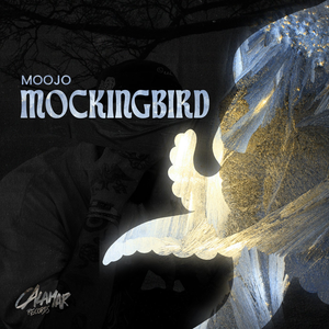Artwork for MOCKINGBIRD