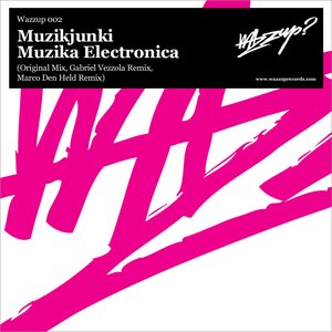 Muzika Electronica