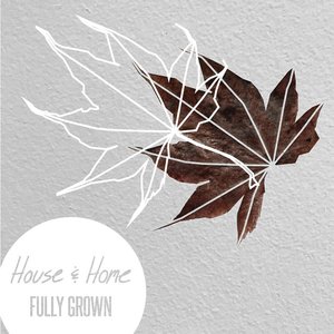 Fully Grown - EP [Explicit]