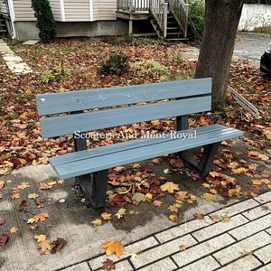 Scooters and Mont-Royal - Single