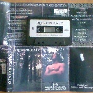Dysterwald 的头像
