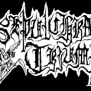 Sepulchral Triumph 的头像