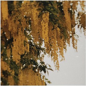 All Else Is Lost - Single
