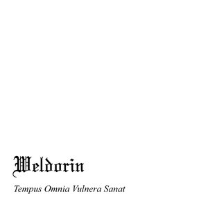 Tempus Omnia Vulnera Sanat
