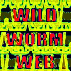 Wild Worm Web 的头像