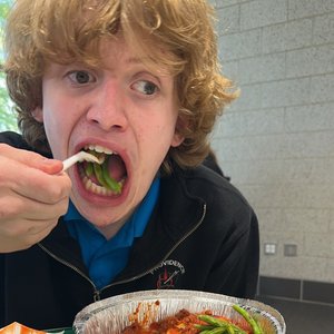 Avatar for MrSteeza