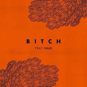 Bitch (feat. Vald)