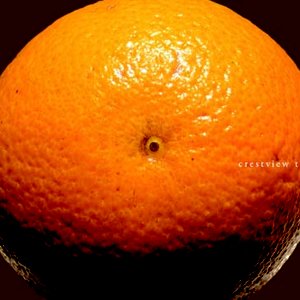 Crestview Trust 的头像