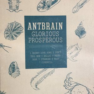 Glorious Prosperous