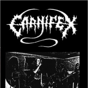 Carnifex(Fin) 的头像