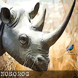 Nosorog