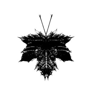 leafbutterfly 的头像