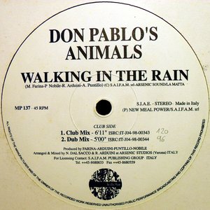 Walking In The Rain