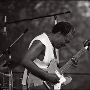 Donald Kinsey photo provided by Last.fm