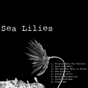 Sea Lilies