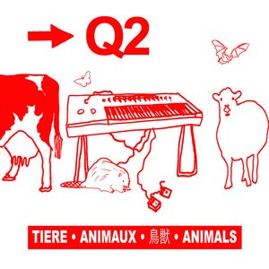 Q2 的头像