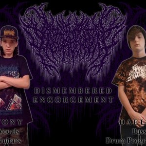 Dismembered Engorgement 的头像