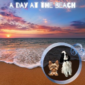 A Day at the Beach