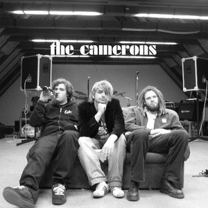 “The Camerons”的封面