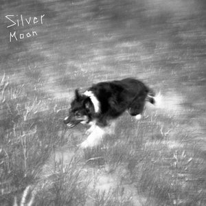 Silver Moon - Single