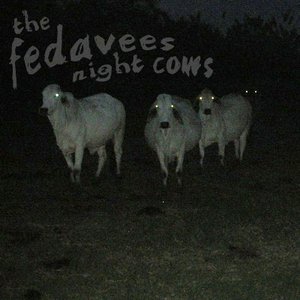 “Night Cows”的封面